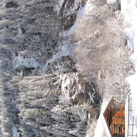 Apartmán Alpina